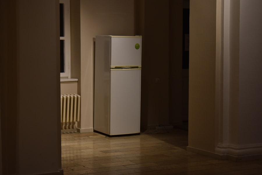 Photo Refrigerator
